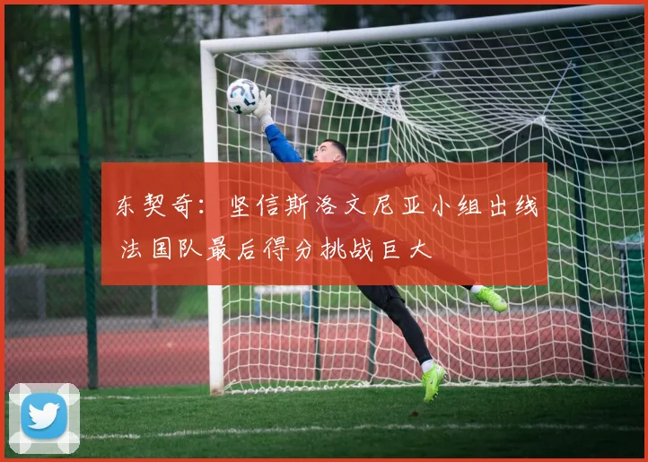 东契奇：坚信斯洛文尼亚小组出线 法国队最后得分挑战巨大
