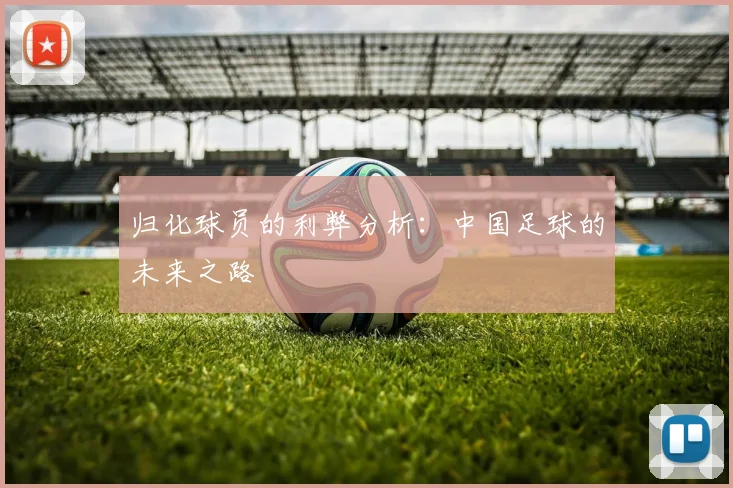 归化球员的利弊分析：中国足球的未来之路