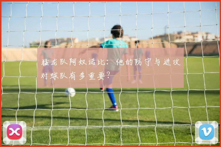 猛龙队阿奴诺比:他的防守与进攻对球队有多重要?